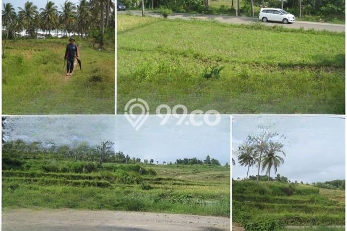 Lahan Dijual Lokasi Bayah, Lebak dengan Luas Tanah 46000m2 dan Status SHM Lahan Dijual Lokasi Bayah, Lebak dengan Luas Tanah 46000m2 dan Status SHM