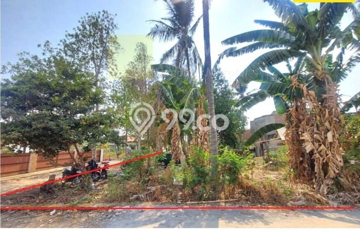 Jarang Ada! Tanah di Natar Punya Luas 1560m2 SHM Jarang Ada! Tanah di Natar Punya Luas 1560m2 SHM