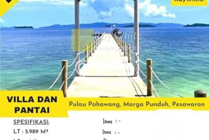 Tanah Dijual Lokasi Punduh Pidada, Pesawaran Luas 5989m2 Legalitas Aman Tanah Dijual Lokasi Punduh Pidada, Pesawaran Luas 5989m2 Legalitas Aman