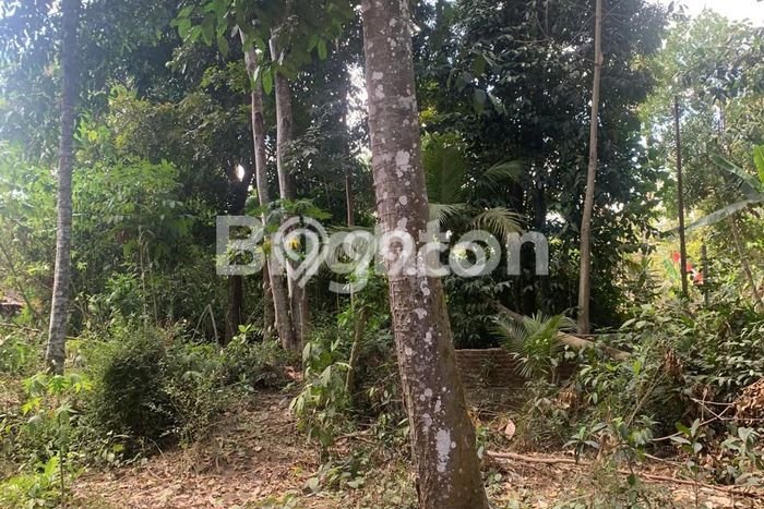 Tanah Komersial Dijual di Mlati Sleman 1231m2 Tanah Komersial Dijual di Mlati Sleman 1231m2
