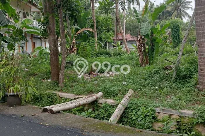 LOKASI STRATEGIS! Tanah di Temon, Luas 386m², Kawasan Berkembang, Cocok untuk Investasi LOKASI STRATEGIS! Tanah di Temon, Luas 386m², Kawasan Berkembang, Cocok untuk Investasi