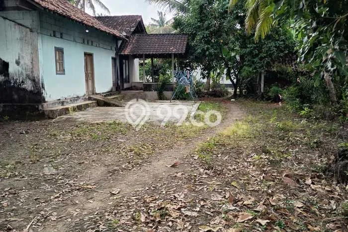 Tanah Lokasi Strategis Kawasan Temon, Luas 1185m², Dekat ke Pusat Kota, Akses Temon, Kulon Progo, Kulon Progo Tanah Lokasi Strategis Kawasan Temon, Luas 1185m², Dekat ke Pusat Kota, Akses Temon, Kulon Progo, Kulon Progo