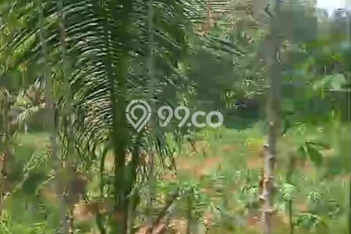 Dijual Tanah Kawasan Mertoyudan, Luas 30000m², Dekat Mertoyudan, Magelang, Magelang Dijual Tanah Kawasan Mertoyudan, Luas 30000m², Dekat Mertoyudan, Magelang, Magelang