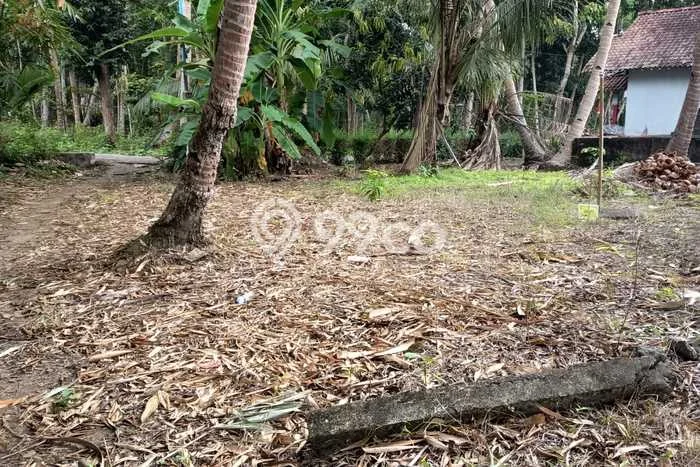 Tanah Lokasi Strategis Kawasan Temon, Luas 1185m², Dekat ke Pusat Kota, Akses Temon, Kulon Progo, Kulon Progo Tanah Lokasi Strategis Kawasan Temon, Luas 1185m², Dekat ke Pusat Kota, Akses Temon, Kulon Progo, Kulon Progo