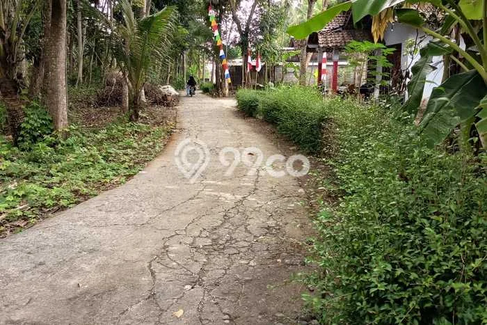 Tanah Lokasi Strategis Kawasan Temon, Luas 1185m², Dekat ke Pusat Kota, Akses Temon, Kulon Progo, Kulon Progo Tanah Lokasi Strategis Kawasan Temon, Luas 1185m², Dekat ke Pusat Kota, Akses Temon, Kulon Progo, Kulon Progo
