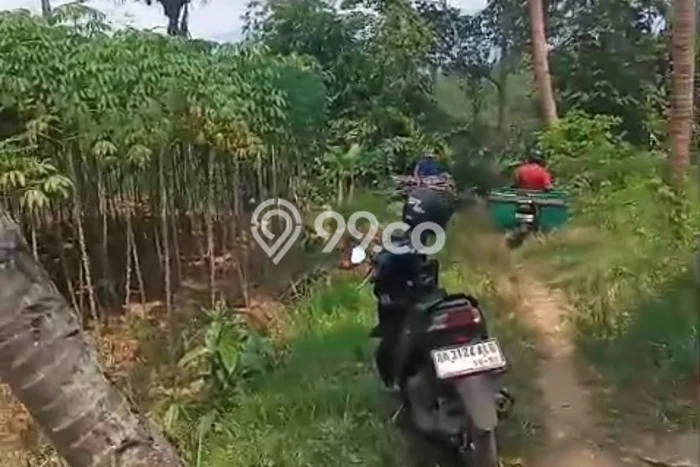 Dijual Tanah Kawasan Mertoyudan, Luas 30000m², Dekat Mertoyudan, Magelang, Magelang Dijual Tanah Kawasan Mertoyudan, Luas 30000m², Dekat Mertoyudan, Magelang, Magelang