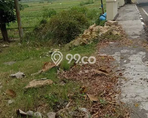 Tanah Premium di Pengasih, Luas 132m², Dekat Pengasih, Kulon Progo, Kulon Progo Tanah Premium di Pengasih, Luas 132m², Dekat Pengasih, Kulon Progo, Kulon Progo