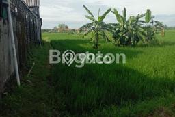 Lahan Investasi Lokasi Balongpanggang Gresik SHM Lahan Investasi Lokasi Balongpanggang Gresik SHM