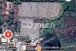 Lahan untuk Dijual di Wiyung Surabaya Luas 1005m2 Lahan untuk Dijual di Wiyung Surabaya Luas 1005m2