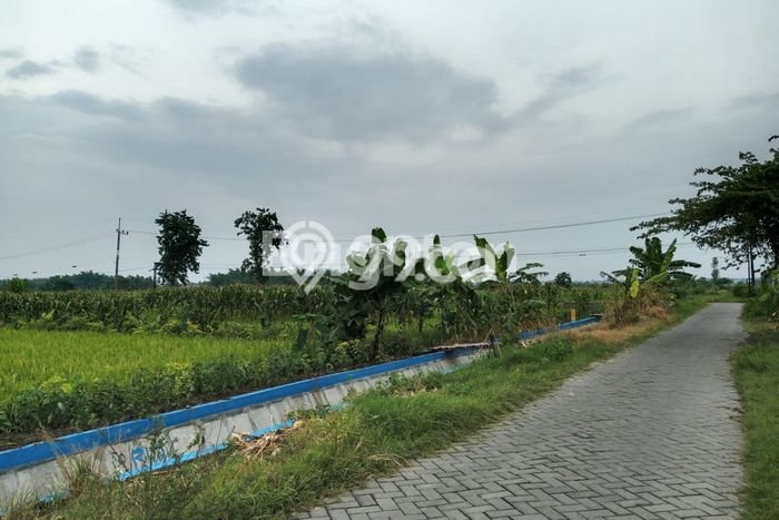 Gudang Dijual Lokasi Emas di Kedamean Luas 200m2 Gudang Dijual Lokasi Emas di Kedamean Luas 200m2