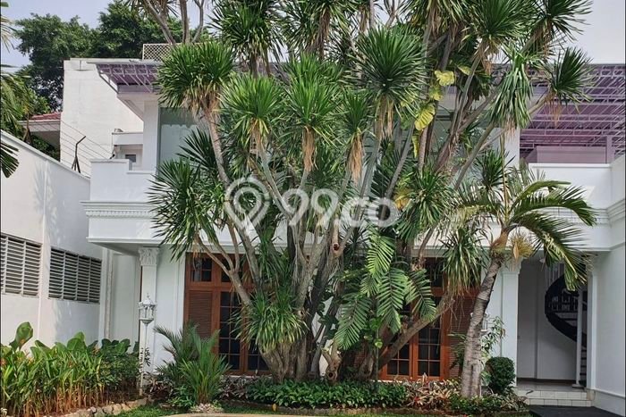 Disewakan Rumah Modern di Menteng Harga Rp.2,2 Miliar/ Tahun Disewakan Rumah Modern di Menteng Harga Rp.2,2 Miliar/ Tahun