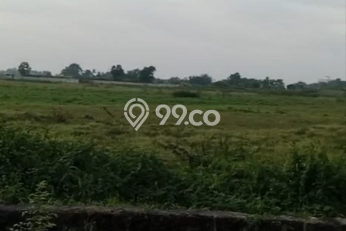 Kavling Tanah di Jawilan Dijual Luas 25000m2 Legalitas - Kavling Tanah di Jawilan Dijual Luas 25000m2 Legalitas -