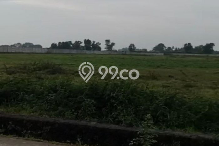 Kavling Tanah di Jawilan Dijual Luas 25000m2 Legalitas - Kavling Tanah di Jawilan Dijual Luas 25000m2 Legalitas -