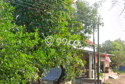 Dijual Tanah di Brebes Brebes Luas 238m2 SHM Dijual Tanah di Brebes Brebes Luas 238m2 SHM