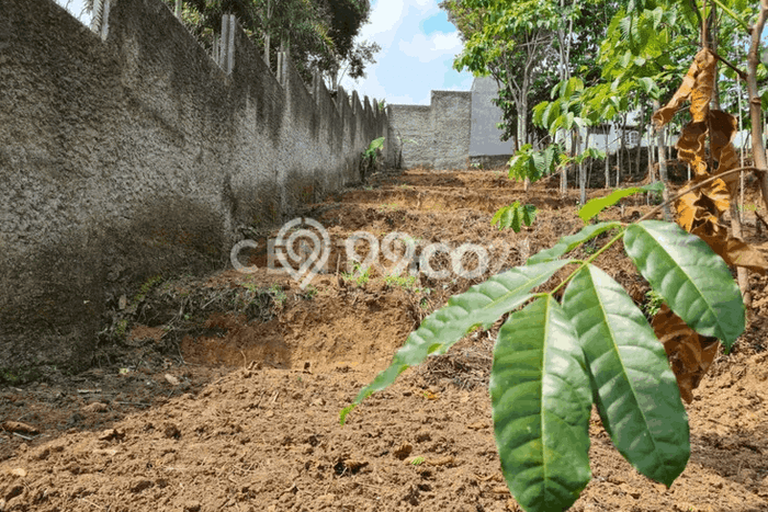 Tanah Dijual Lokasi Lembang, Bandung Barat dengan Luas Tanah 3986m2 dan Status SHM Tanah Dijual Lokasi Lembang, Bandung Barat dengan Luas Tanah 3986m2 dan Status SHM