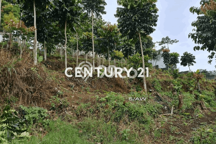 Tanah Dijual Lokasi Lembang, Bandung Barat dengan Luas Tanah 3986m2 dan Status SHM Tanah Dijual Lokasi Lembang, Bandung Barat dengan Luas Tanah 3986m2 dan Status SHM