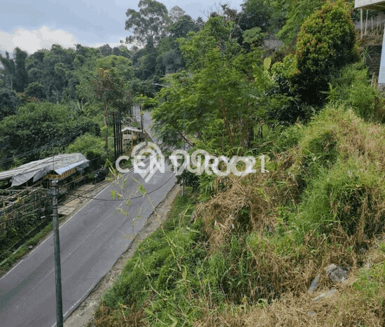 Tanah Dijual Lokasi Lembang, Bandung Barat dengan Luas Tanah 3986m2 dan Status SHM Tanah Dijual Lokasi Lembang, Bandung Barat dengan Luas Tanah 3986m2 dan Status SHM