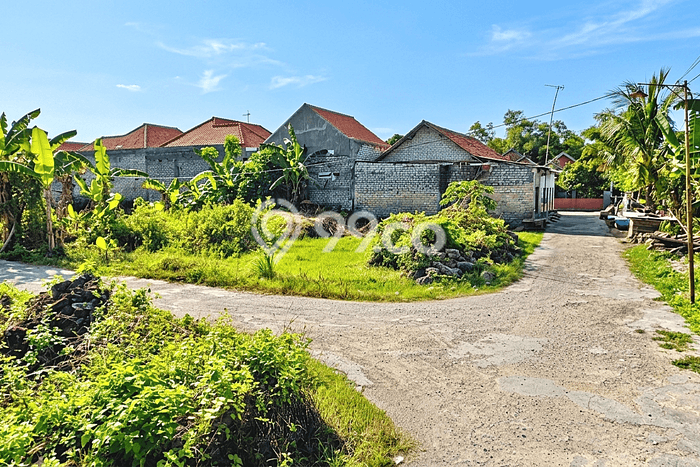 Tanah Dijual Lokasi Sampang Sampang - Tanah Dijual Lokasi Sampang Sampang -