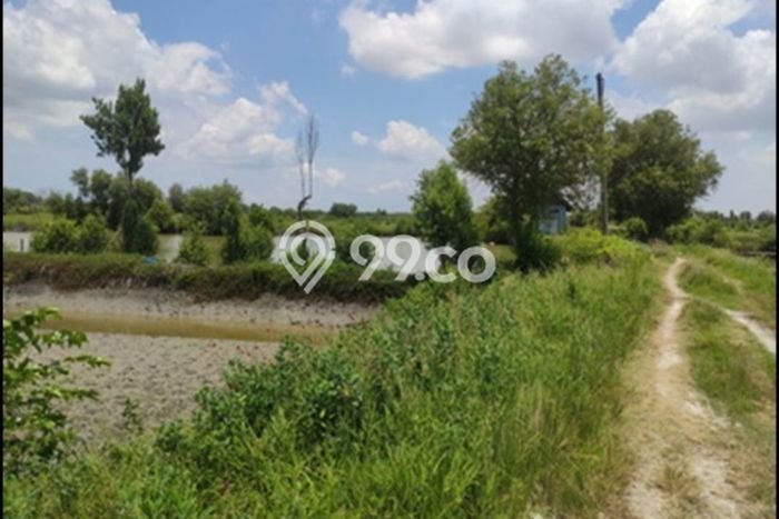 Untuk Dijual Tanah di Manyar Gresik Luas 26567m2 SHM Untuk Dijual Tanah di Manyar Gresik Luas 26567m2 SHM