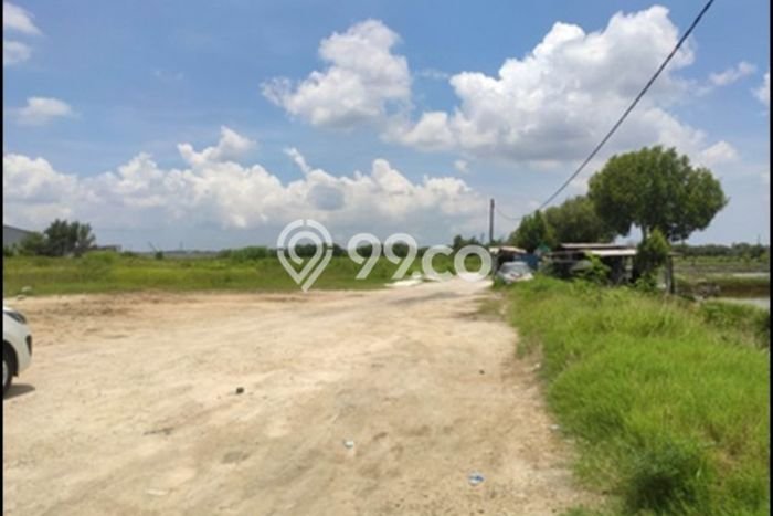 Untuk Dijual Tanah di Manyar Gresik Luas 26567m2 SHM Untuk Dijual Tanah di Manyar Gresik Luas 26567m2 SHM