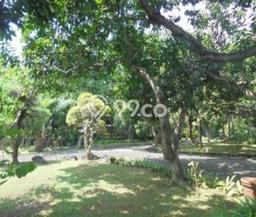 Lahan Kosong Dijual di Wiyung, Surabaya, Luas 9630m2 Area Strategis Lahan Kosong Dijual di Wiyung, Surabaya, Luas 9630m2 Area Strategis
