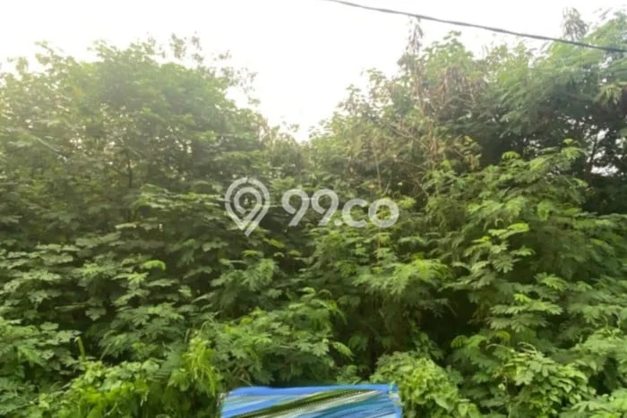 Tanah Kavling di Neglasari Dijual dengan Luas 3224m2 Tanah Kavling di Neglasari Dijual dengan Luas 3224m2