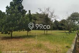 Lahan Disewakan di Tigaraksa, Tangerang, Luas 3375m2 SHM Lahan Disewakan di Tigaraksa, Tangerang, Luas 3375m2 SHM