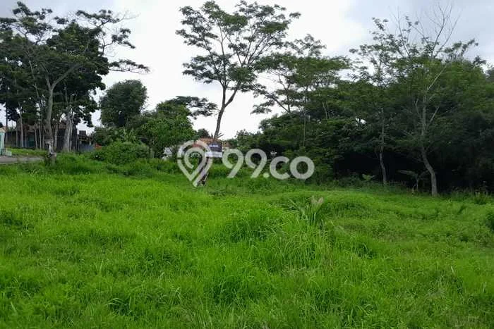 Kavling Tanah di Taktakan Dijual Luas 1324m2 Legalitas SHM Kavling Tanah di Taktakan Dijual Luas 1324m2 Legalitas SHM