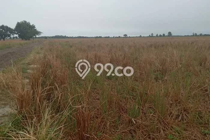 Tanah Dijual di Majalengka Seluas 9241m2 Strategis Tanah Dijual di Majalengka Seluas 9241m2 Strategis