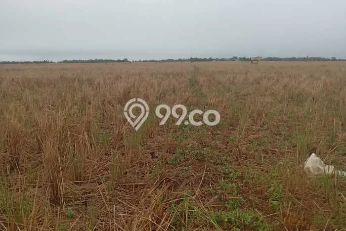 Tanah Dijual di Majalengka Seluas 9241m2 Strategis Tanah Dijual di Majalengka Seluas 9241m2 Strategis
