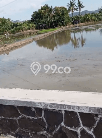 Dijual Tanah di Jombang Cilegon Luas 1850m2 - Dijual Tanah di Jombang Cilegon Luas 1850m2 -