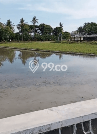 Dijual Tanah di Jombang Cilegon Luas 1850m2 - Dijual Tanah di Jombang Cilegon Luas 1850m2 -