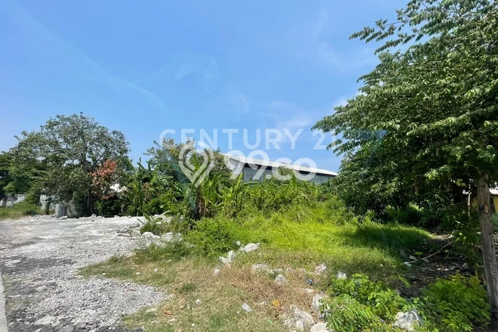 Tanah di Warureja, Tegal Luas 3080m2 Dijual Segera Tanah di Warureja, Tegal Luas 3080m2 Dijual Segera