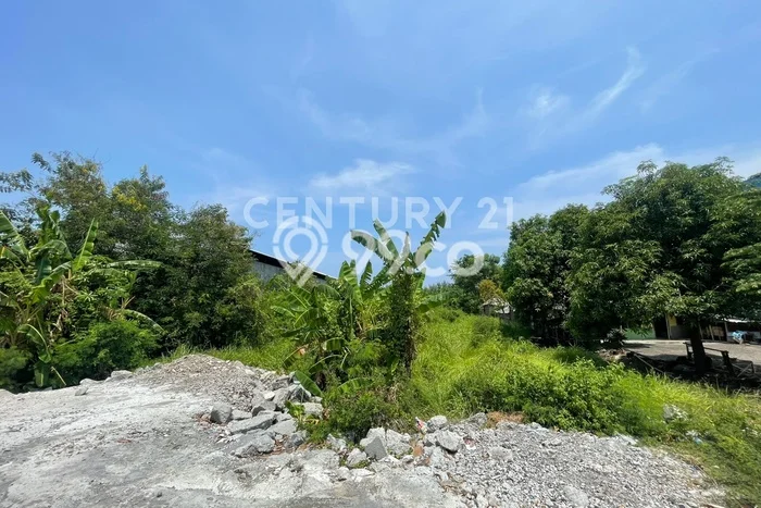 Tanah di Warureja, Tegal Luas 3080m2 Dijual Segera Tanah di Warureja, Tegal Luas 3080m2 Dijual Segera