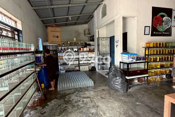 Jual Rumah Modern 2 KT di Batam Centre, Batam Jual Rumah Modern 2 KT di Batam Centre, Batam