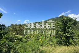 Tanah untuk Dijual Lokasi Abang, Karangasem Luas 3000m2 SHM Tanah untuk Dijual Lokasi Abang, Karangasem Luas 3000m2 SHM