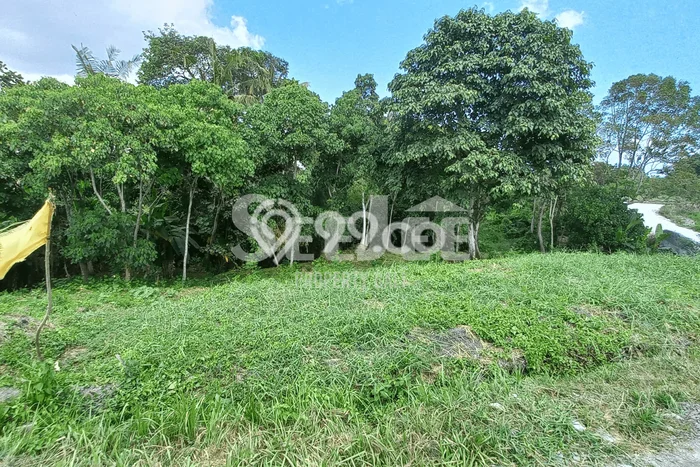 Lahan Kosong Dijual di Tabanan dengan Area 411m2 Lahan Kosong Dijual di Tabanan dengan Area 411m2