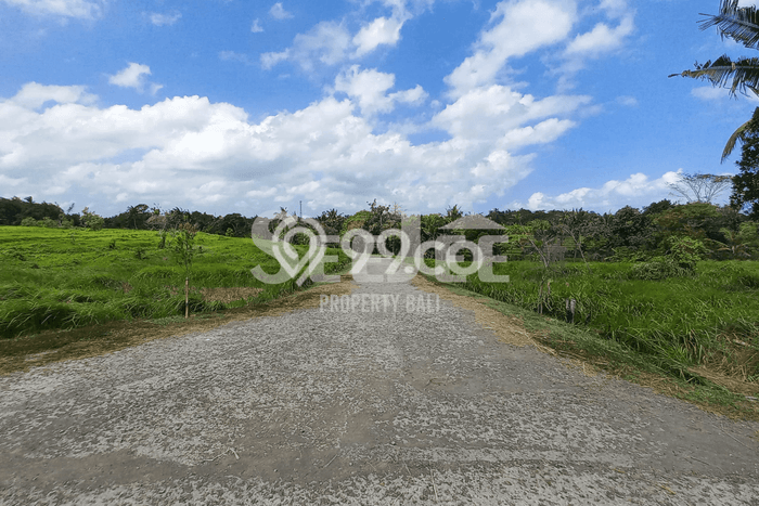 Lahan Kosong Dijual di Tabanan dengan Area 411m2 Lahan Kosong Dijual di Tabanan dengan Area 411m2
