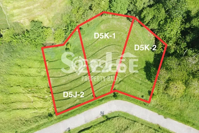 Lahan Dijual Lokasi Strategis di Tabanan dengan Luas 500m2 Lahan Dijual Lokasi Strategis di Tabanan dengan Luas 500m2