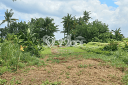 Tanah Kavling di Kediri Dijual dengan Luas 500m2 Tanah Kavling di Kediri Dijual dengan Luas 500m2