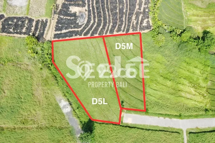 Lahan Dijual Lokasi Strategis di Tabanan dengan Luas 500m2 Lahan Dijual Lokasi Strategis di Tabanan dengan Luas 500m2