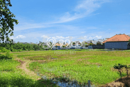 Tanah Investasi Dijual di Badung Punya Luas 4000m2 Tanah Investasi Dijual di Badung Punya Luas 4000m2