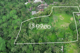 Dijual Tanah di Ubud Gianyar Luas 14631m2 SHM Dijual Tanah di Ubud Gianyar Luas 14631m2 SHM