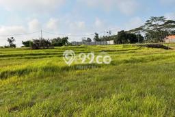 Tanah Disewa di Kediri Tabanan dengan Luas 540m2 Tanah Disewa di Kediri Tabanan dengan Luas 540m2