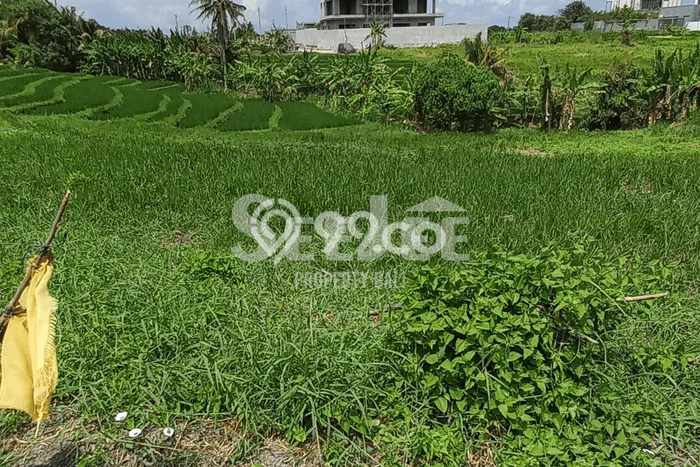 Lahan Kosong Dijual di Tabanan dengan Area 411m2 Lahan Kosong Dijual di Tabanan dengan Area 411m2