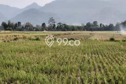 Dijual Tanah di Bandung, Luas 160000m2 - Dijual Tanah di Bandung, Luas 160000m2 -