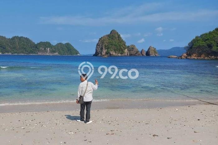 Tanah Kavling untuk Dijual di Pringsewu Pringsewu 250000m2 Tanah Kavling untuk Dijual di Pringsewu Pringsewu 250000m2
