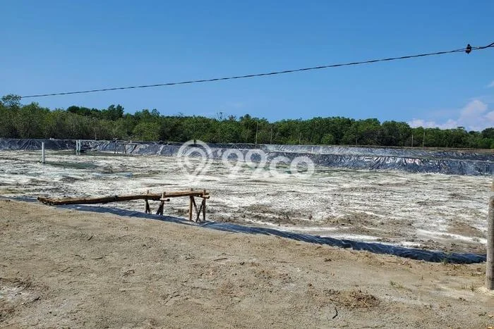 Jual Tanah Area Prospektif di Sumbawa, Luas 30000m², Dekat Sumbawa, Sumbawa, Sumbawa Jual Tanah Area Prospektif di Sumbawa, Luas 30000m², Dekat Sumbawa, Sumbawa, Sumbawa