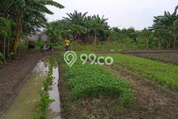 Tanah Kavling Dijual di Cimone, Tangerang dengan Luas Tanah 17000m2 Tanah Kavling Dijual di Cimone, Tangerang dengan Luas Tanah 17000m2