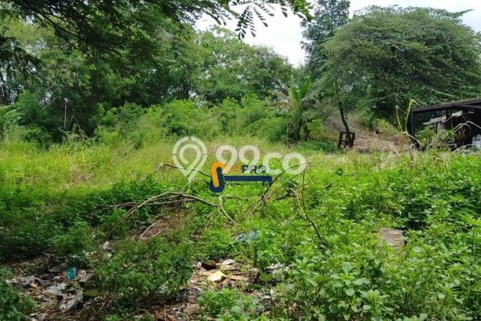 Lahan untuk Disewa di Tangerang Luas 2305m2 Lahan untuk Disewa di Tangerang Luas 2305m2